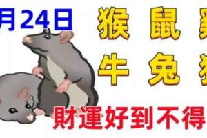 9月24日十二生肖【每日老黃曆】