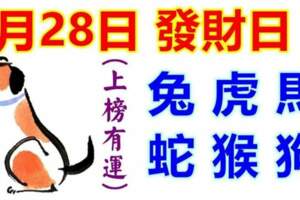 9月28日生肖運勢_兔、虎、馬大吉