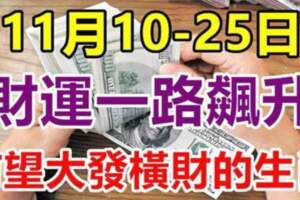 11月10-25日財運一路飆升，有望大發橫財的生肖