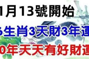 11月13號開始三天內財發不停，三年好運不斷，30年財富無數的生肖