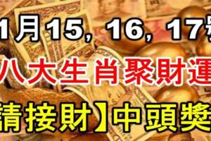 11月15，16，17號八方聚財運，八大生肖請接財中頭獎