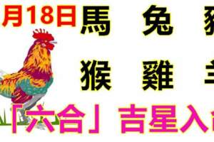 11月18日生肖運勢_馬、兔、豬大吉