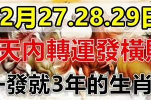 12月27.28.29日三天內轉運發橫財，一發就三年的生肖