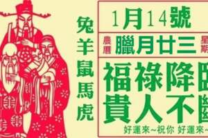 1月14號福祿降臨，貴人不斷的生肖