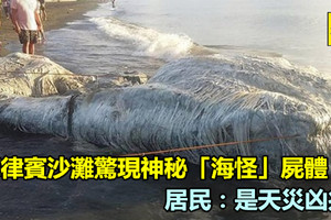 菲律賓沙灘驚現神秘「海怪」屍體　居民：是天災凶兆！《內附視頻》