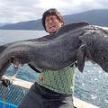 驚！日本漁民在福島海域捕到200公分長巨型怪魚！查過後..牠原本應該是… 嚇壞當地居民！