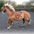 英國藝術家竟然開始給馬做造型了！古典又時尚的感覺簡直太炫酷了~