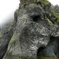 冰島發現史前巨型動物長毛象化石，沒想到原來是這樣形成的...