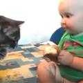 家貓盯著小主人吃麵包，不敢上前去搶，接下來他的舉動暖心了~