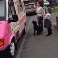 賣冰淇淋的窗口下有一位特殊的顧客：狗狗！                                                
