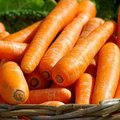 胡蘿蔔含微量元素 有補肝明目的作用
