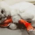 給貓咪買了條假魚，結果它抱著就不放手了，都快給舔褪色了都！