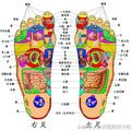 「18種病症」所對應的腳底反射區