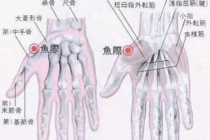 心臟不好的人手掌有一個地方要經常按一按，冬天更要多按！