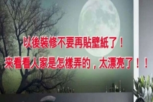 以後裝修不要再貼壁紙了！來看看人家是怎樣弄的，太漂亮了！