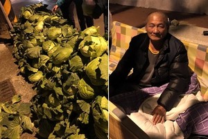 女客人買150卻給1千，台南高麗菜伯：支持就多買但「不能不找錢」！