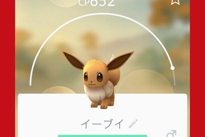 《Pokemon Go》第2世代彩蛋，「伊布」改名可以進化成「太陽或月亮」！