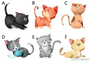 哪只小貓你最喜歡？不同的小貓代表著不同的性格測試