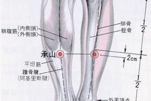 不想運動還想減肥，小編教你一招，常按這幾個穴位，讓腰圍瘦一圈