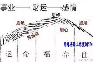 「男人看鼻，女人看眉」 算命先生教你看運勢如何