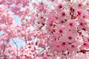 塔羅牌測試：近期的桃花運能給你帶來好運氣嗎