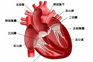 高血壓為什麼降不下來，原因都在這