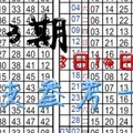 3月14日六合 03-14 獨支叁考一下...準3期