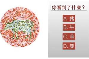 「人格特質」決定你看到的是什麼！太準了！圖