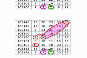 7月8日 金彩539 ~海珊瑚 二支參考