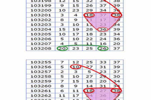 7月8日 ~我是小雪球 金彩539