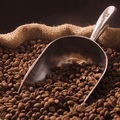 一台磨豆機，更勝高級咖啡粉！專家告訴你怎麼保存咖啡豆..