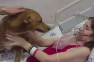 癌末病人「最後的願望」！千盼萬盼終於等到愛犬進醫院看自己最後一面，這一刻…所有人都哭了！