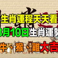 【生肖運程天天看】8月10日生肖運勢 牛、猴、雞大吉