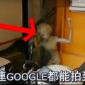 震撼！Google拍到UFO & 外星人 Alien caught on Google Earth