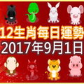 【每日運勢】12生肖之每日運勢2017年9月1日