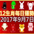 【每日運勢】12生肖之每日運勢2017年9月7日 