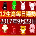 【每日運勢】12生肖之每日運勢2017年9月23日