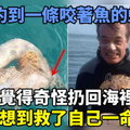 釣到一條咬著魚的蛇，覺得奇怪扔回海裡，沒想到救了自己一命！