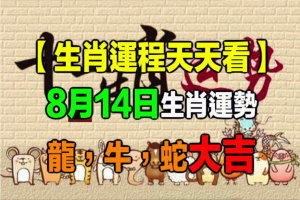 【生肖運程天天看】8月14日生肖運勢 龍，牛，蛇大吉