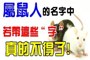 屬鼠人的名字中若帶這些「字」, 可「不得了」! 