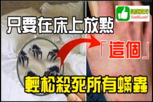 塵蟎掰掰！不用開水燙不用太陽曬，只要在床上放點「這個」，輕鬆殺死所有蟎蟲！ 