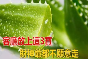 客廳若是放上這3寶，預示著兒女升官發財，財神爺都不願意走！