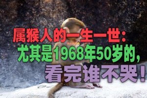 屬猴人的一生一世：尤其是1968年50歲的，看完誰不哭？ 