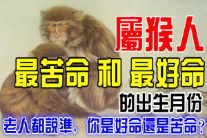 屬猴人：「最苦命」和「最好命」的出生月份。老人都說準，快來看看你是好命還是苦命？