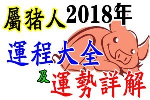 屬豬人 2018 年 運 程 大全 及 運 勢 詳 解