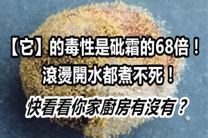 「它」的毒性是砒霜的68倍，滾燙的開水都煮不死！你家的廚房也有的話趕快扔掉！