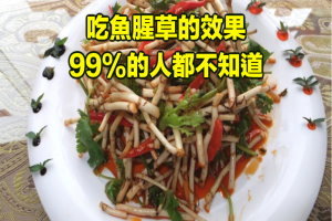 吃魚腥草的效果，99%人都不知道 ! 