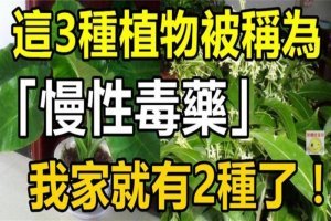 這3種植物被稱為「慢性毒藥」，我家就2種！第3種大多數人還在養！ 