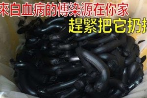 原來白血病的傳染源在你家已經潛伏了15年！回家檢查一下，趕緊扔掉！尤其是有孩子的，很危險！