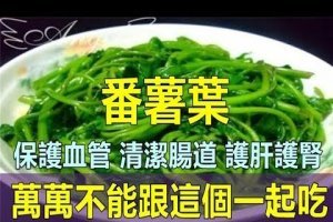 深受大家愛吃的番薯葉，能保護血管、清潔腸道、護肝護腎，但是不要跟這個一起吃 